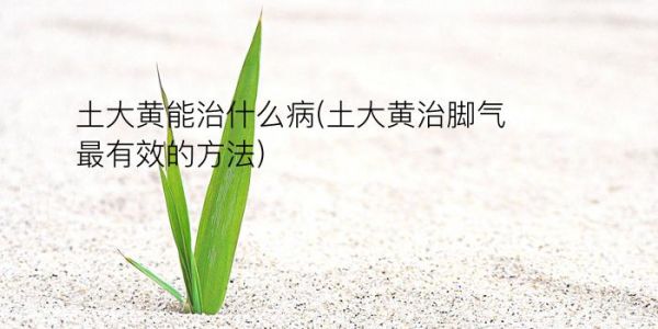 土大黃能治什么病(土大黃治腳氣最有效的方法)