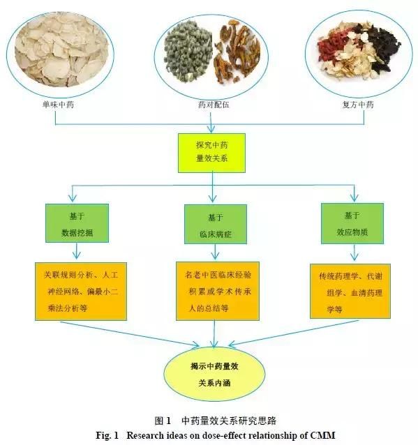 中藥量效關(guān)系的研究進(jìn)展