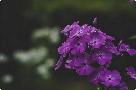 辦公室臀部減肥方法,減肥達(dá)人的辦公室瘦臀術(shù)