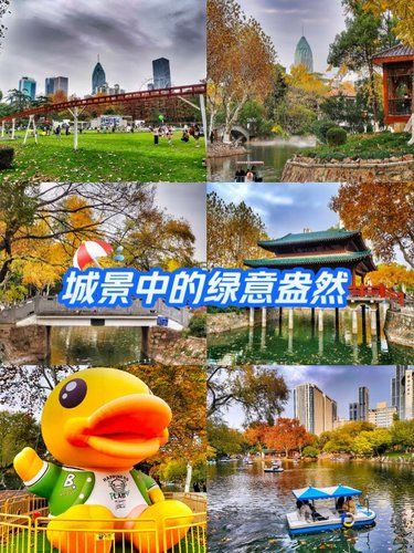 漫步林间秋色中