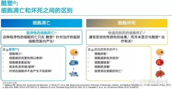 酷塑冷凍溶脂