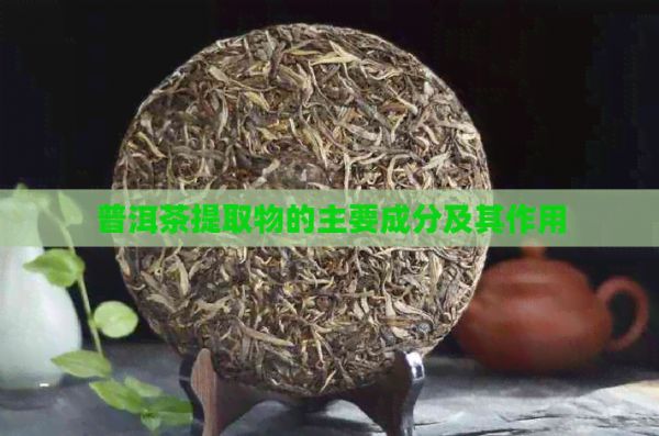 普洱茶提取物的主要成分及其作用