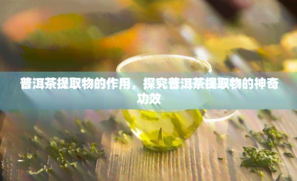 普洱茶提取物的作用，探究普洱茶提取物的神奇功效