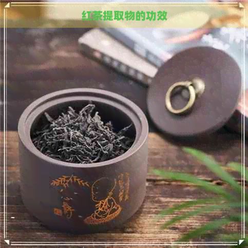 紅茶提取物的功效