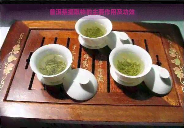 普洱茶提取物的主要作用及功效