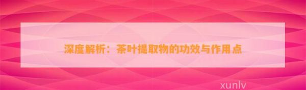 深度解析：茶葉提取物的功效與作用點(diǎn)