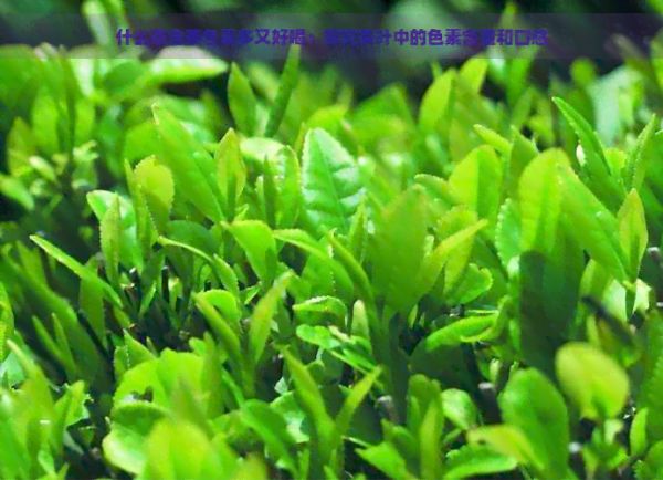 什么茶含茶色素多又好喝：探究茶葉中的色素含量和口感