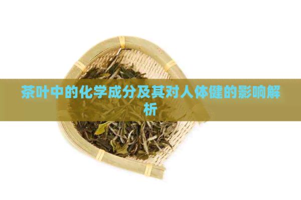 茶葉中的化學成分及其對人體健的影響解析