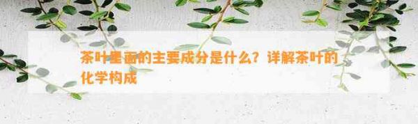 茶叶里面的主要成分是什么？详解茶叶的化学构成