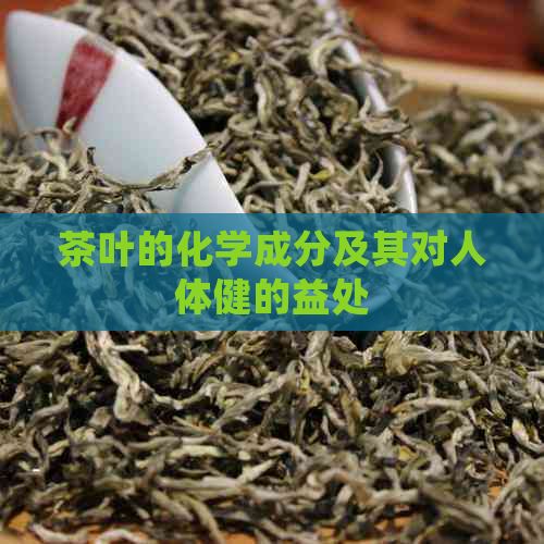 茶葉的化學(xué)成分及其對人體健的益處