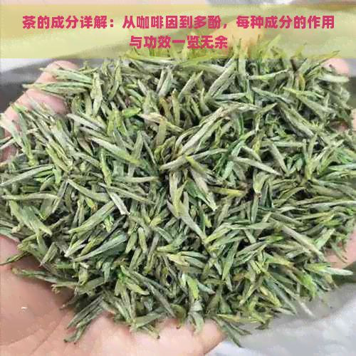 茶的成分詳解：從 到多酚，每種成分的作用與功效一覽無余