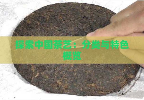 探索中國(guó)茶藝：分類(lèi)與特色概覽