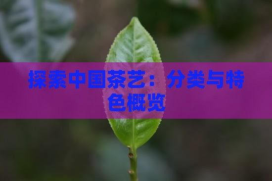 探索中國(guó)茶藝：分類(lèi)與特色概覽