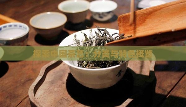 探索中國(guó)茶藝：分類(lèi)與特色概覽