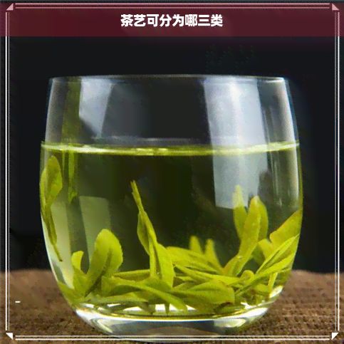 茶藝可分為哪三類(lèi)