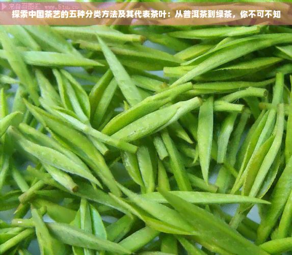 探索中國(guó)茶藝的五種分類(lèi)方法及其代表茶葉:從普洱茶到綠茶,你不可不知