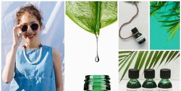 茶樹精油的10個妙用，洗發(fā)時加2滴溫和凈化頭皮