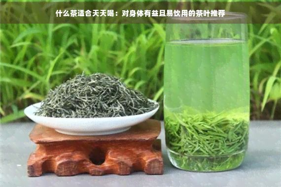 什么茶適合天天喝：對身體有益且易飲用的茶葉推薦
