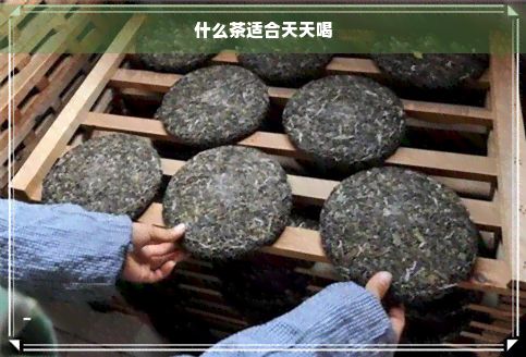 什么茶適合天天喝