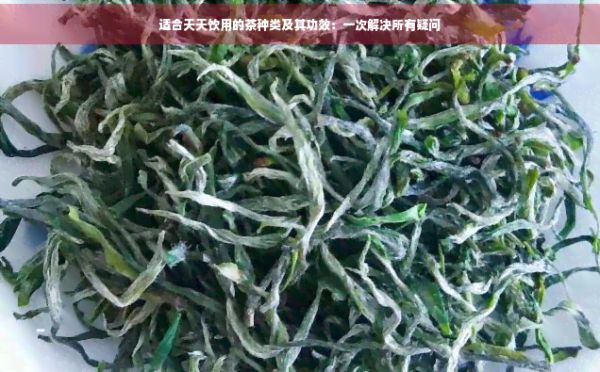 適合天天飲用的茶種類及其功效：一次解決所有疑問