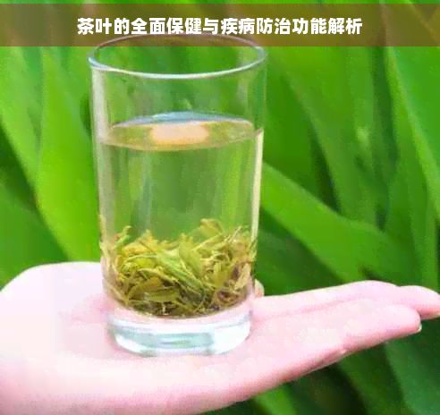 茶葉的全面保健與疾病防治功能解析