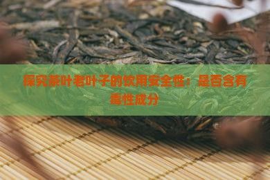 探究茶葉老葉子的飲用安全性：是否含有性成分