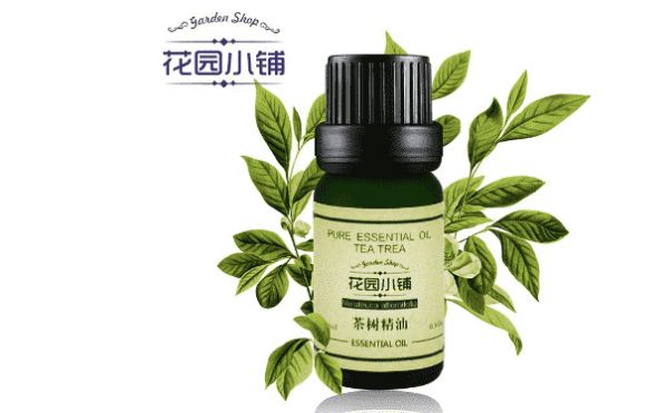 茶树精油有什么功效作用？茶树精油的使用方法(1)