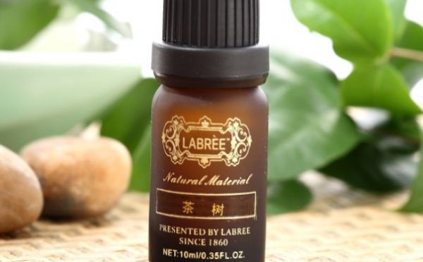 茶樹精油有哪些功效？茶樹精油有哪些使用方法？(1)