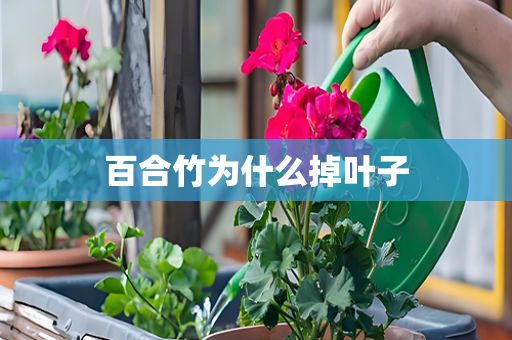 百合竹为什么掉叶子