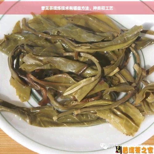 普洱茶提煉技術(shù)有哪些方法、種類和工藝