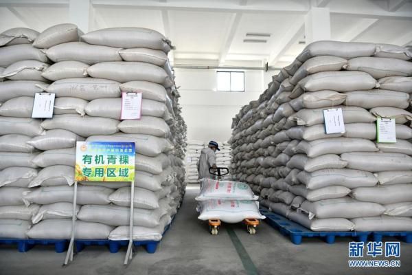 西藏洛隆：青稞深加工促增收