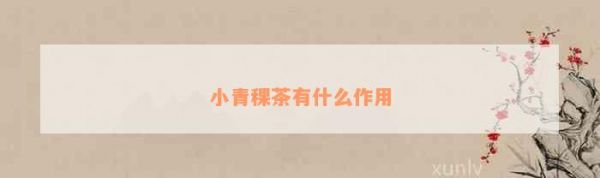 小青稞茶有什么作用