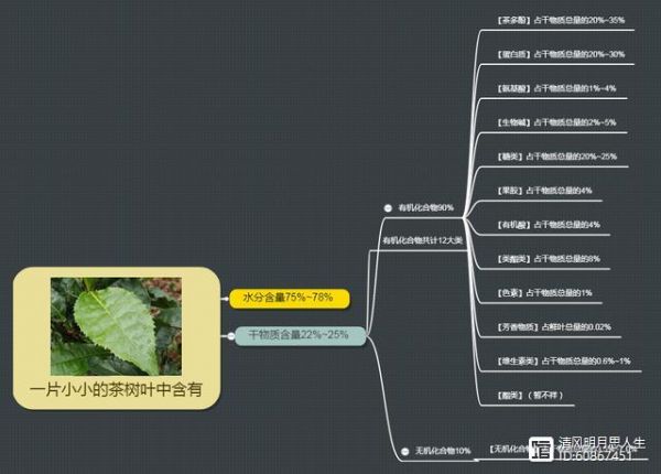 這一片片小小的樹葉中，蘊(yùn)含著大大的乾坤，茶葉內(nèi)含物質(zhì)的秘密