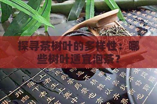 探尋茶樹(shù)葉的多樣性：哪些樹(shù)葉適宜泡茶？