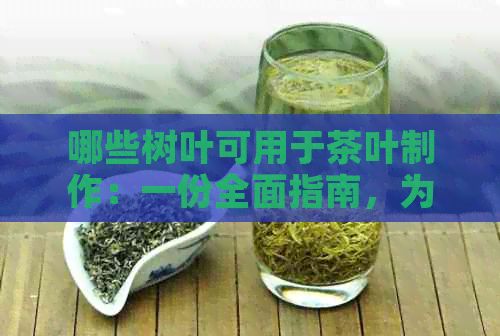 哪些树叶可用于茶叶制作：一份全面指南，为您精选优质茶叶原料