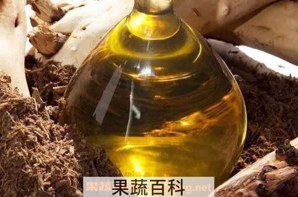 檀香精油的功效與作用及使用方法