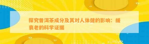 探究普洱茶成分及其對(duì)人體健的影響：緩衰老的科學(xué)證據(jù)