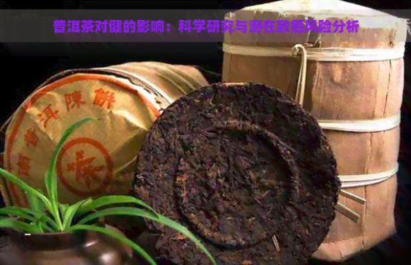 普洱茶對(duì)健的影響：科學(xué)研究與潛在致癌風(fēng)險(xiǎn)分析