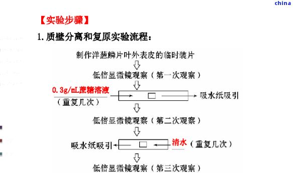 全面解析：關(guān)于茶的研究課題及其難點(diǎn)與研究報(bào)告
