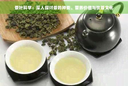 茶叶科学：深入探讨茶的种类、营养价值与饮茶文化
