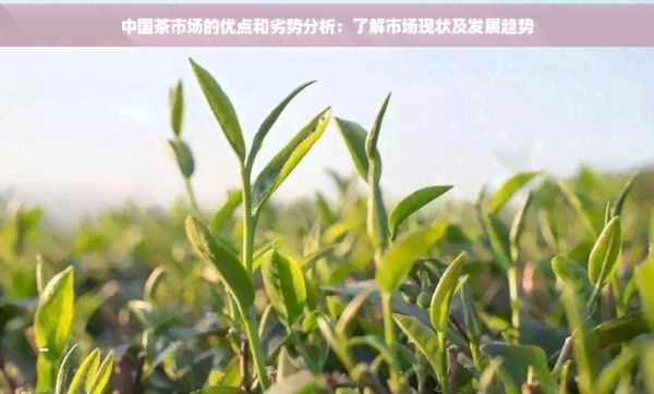 中國茶市場的優(yōu)點和劣勢分析：了解市場現狀及發(fā)展趨勢