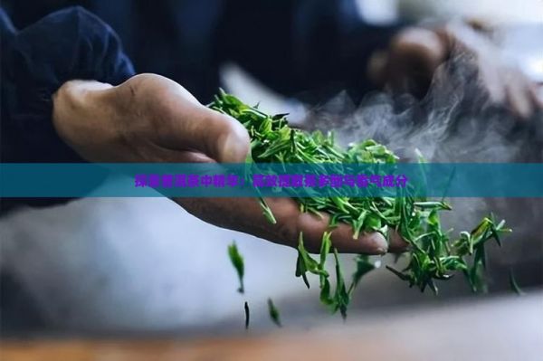 探索普洱茶中精華：高效提取茶多酚與香氣成分