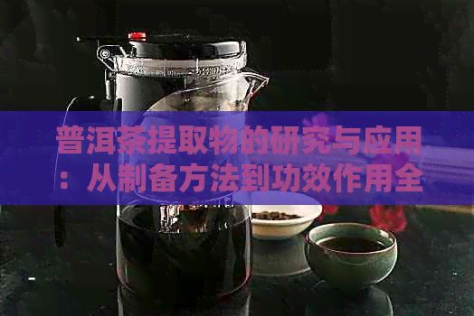 普洱茶提取物的研究與應(yīng)用：從制備方法到功效作用全方位解析