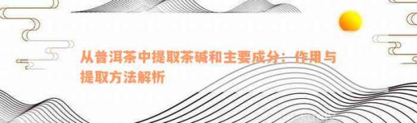從普洱茶中提取茶堿和主要成分：作用與提取方法解析