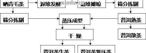 從普洱茶中提取茶堿和主要成分：作用與提取方法解析
