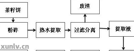 從普洱茶中提取茶堿和主要成分：作用與提取方法解析