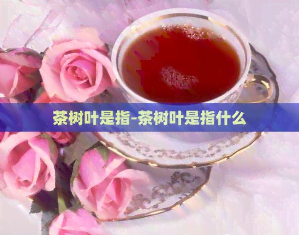 茶树叶是指-茶树叶是指什么