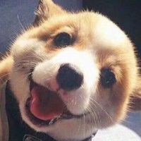 頭像