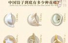 正在消失的中國(guó)餃子