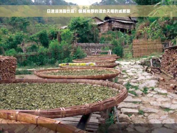 日清涼消脂飲品：健網(wǎng)推薦的適合天喝的減肥茶